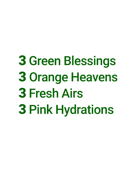 Contents of the Simplicity Big-Juice Boost: 3 Pink Hydration, 3 Green Blessing, 3 Fresh Air, and 3 Orange Heaven.