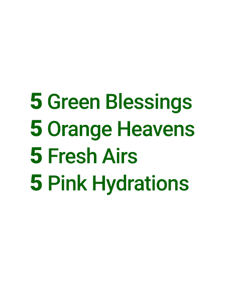 Contents of the Simplicity Big-Juice Boost: 5 Pink Hydration, 5 Green Blessing, 5 Fresh Air, and 5 Orange Heaven.